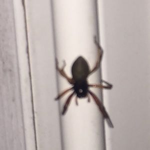 Meet your Posher, Aj